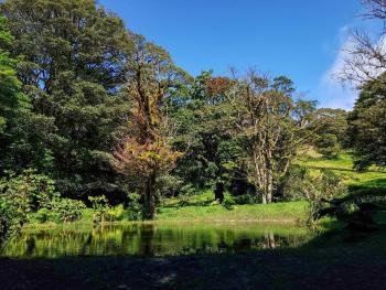 Natural History Tour, Monteverde, Costa Rica