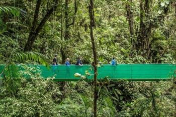 Treetop Walkways Suspension Bridges, Monteverde, Costa Rica photo