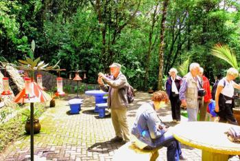 Hummingbird Garden, Monteverde, Costa Rica photo