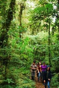 General Guided Walk, Monteverde, Costa Rica photo