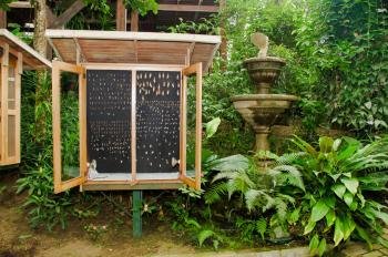 Butterfly Garden, Monteverde, Costa Rica