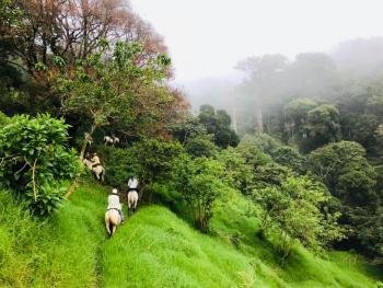 Horseback riding, Monteverde, Costa Rica photo